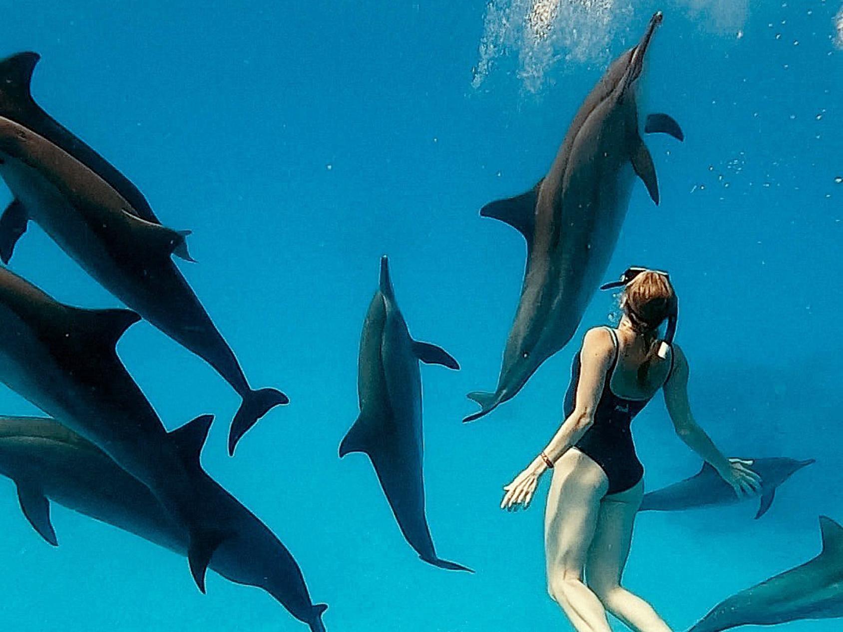«Белуха» подружилась с дельфинами